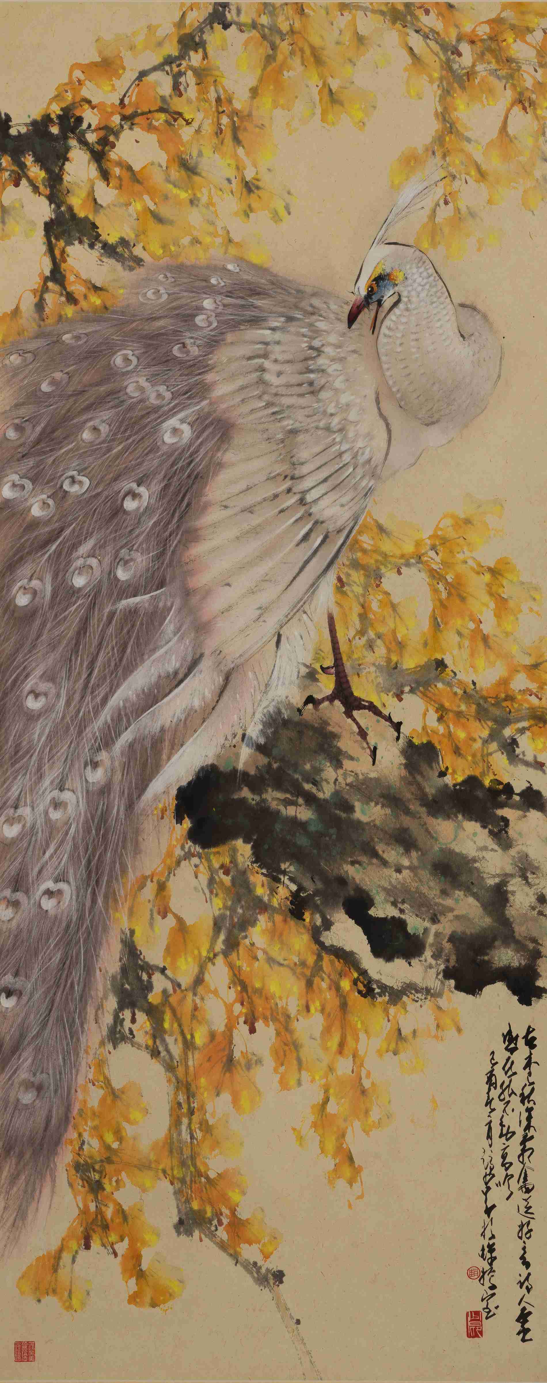 《霜光素羽》 《霜光素羽》