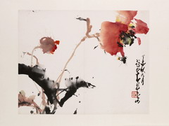 罌粟花