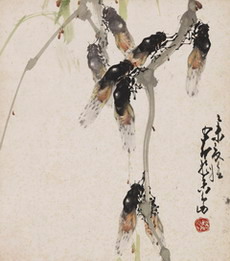蟬