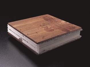 神經 - 陳育強畫冊 (封面)