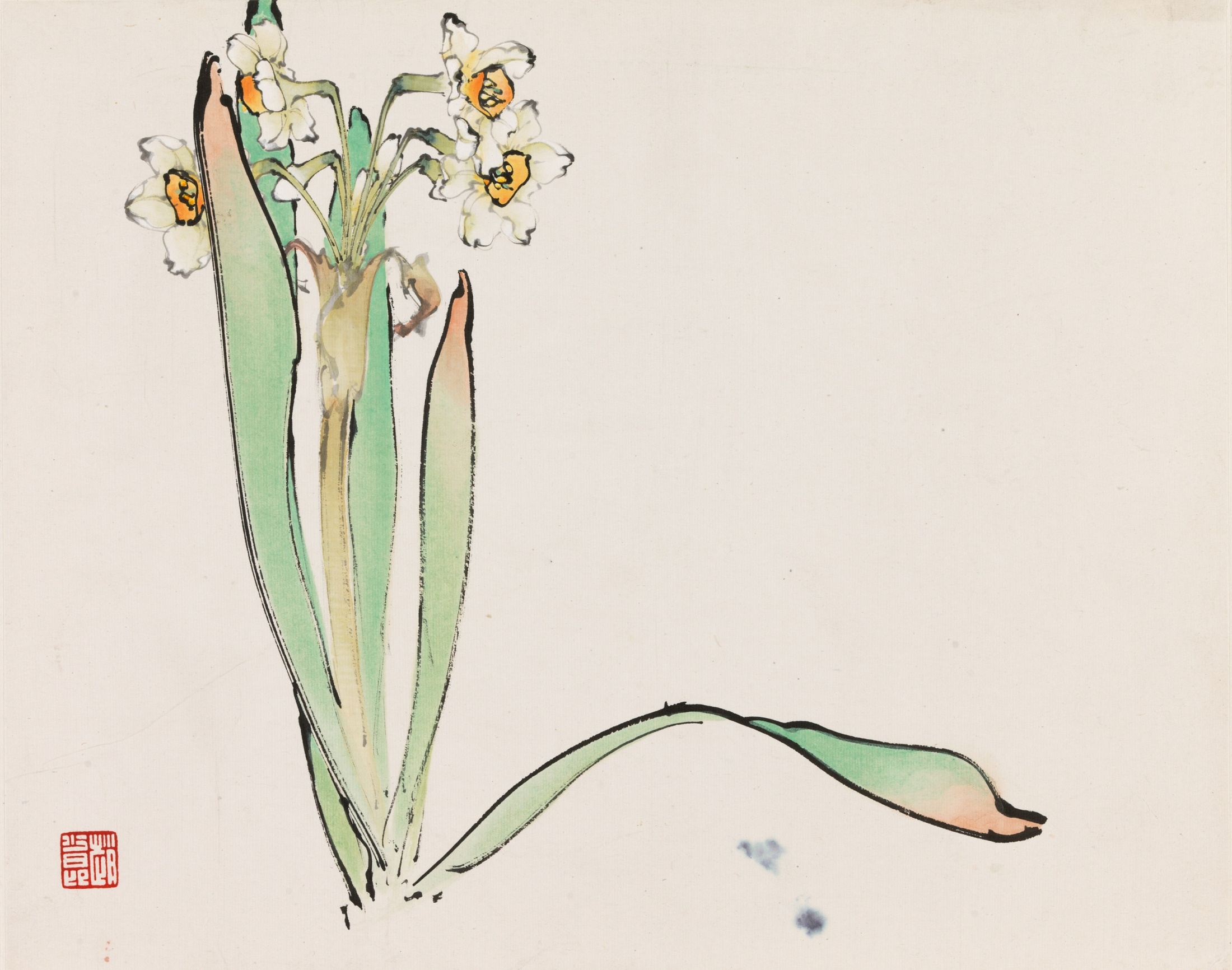 凌波仙子（水仙）