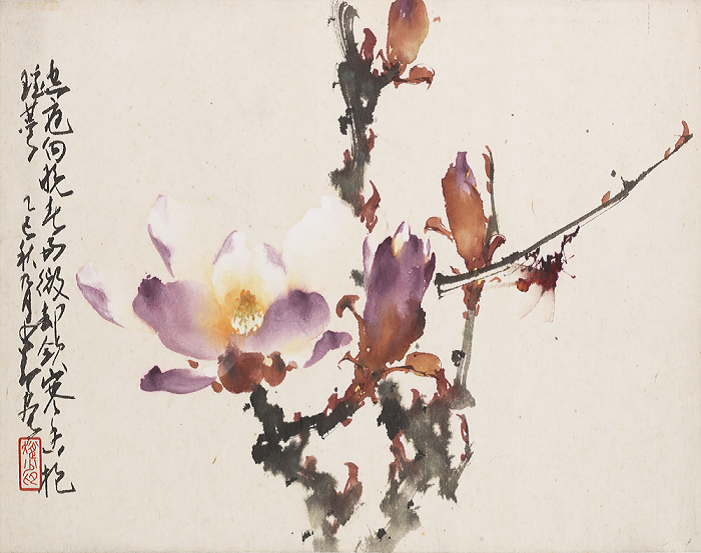 Magnolia
