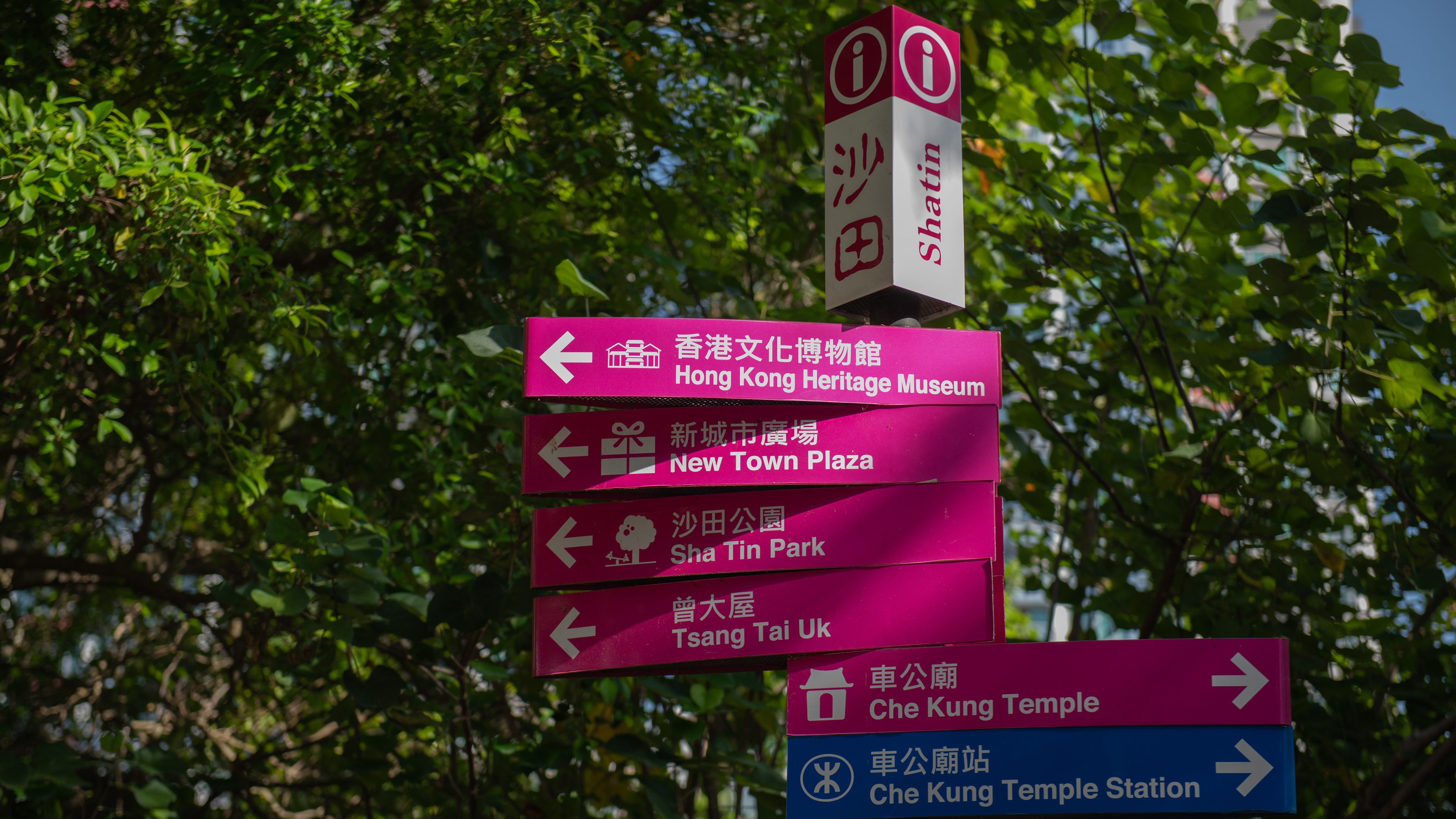 看我今天怎么玩：文化、购物、餐饮